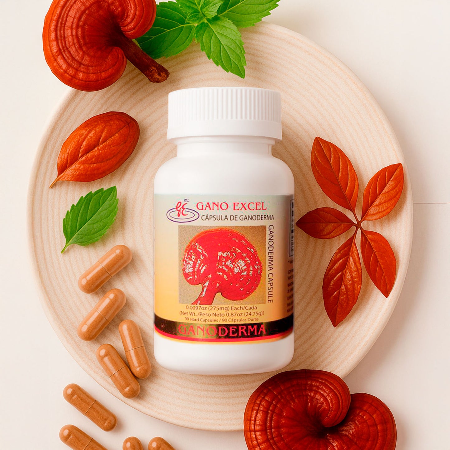 Ganoderma cápsulas